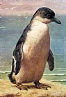 Henry Stacy Marks Study Of A Penguin painting